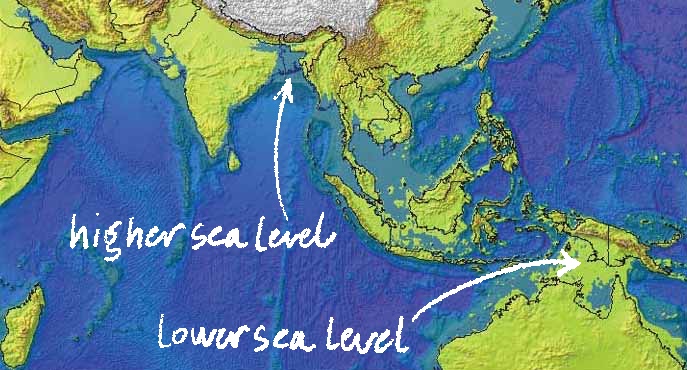 A map simulation of southeast Asia, wherein the sea level has lowered near New Guinea but risen to cover Bangladesh.
