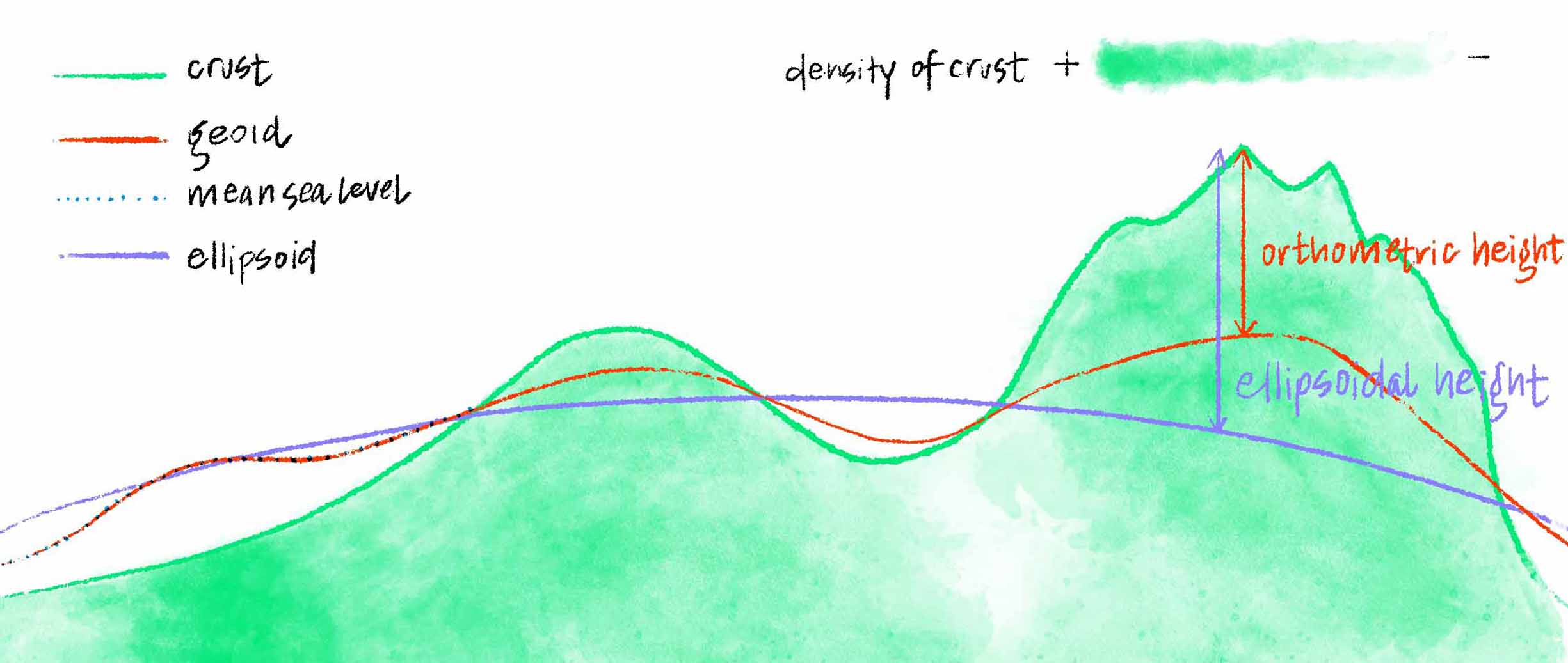 A sketch overlaying the crust with mountains, values, and varying densities; the ellipsoid's boundary; and the geoid. Where the crust rises to form hills, the geoid also rises relative to the ellipsoid, though not so high as the crust itself. Where the crust is denser, geoid also rises.