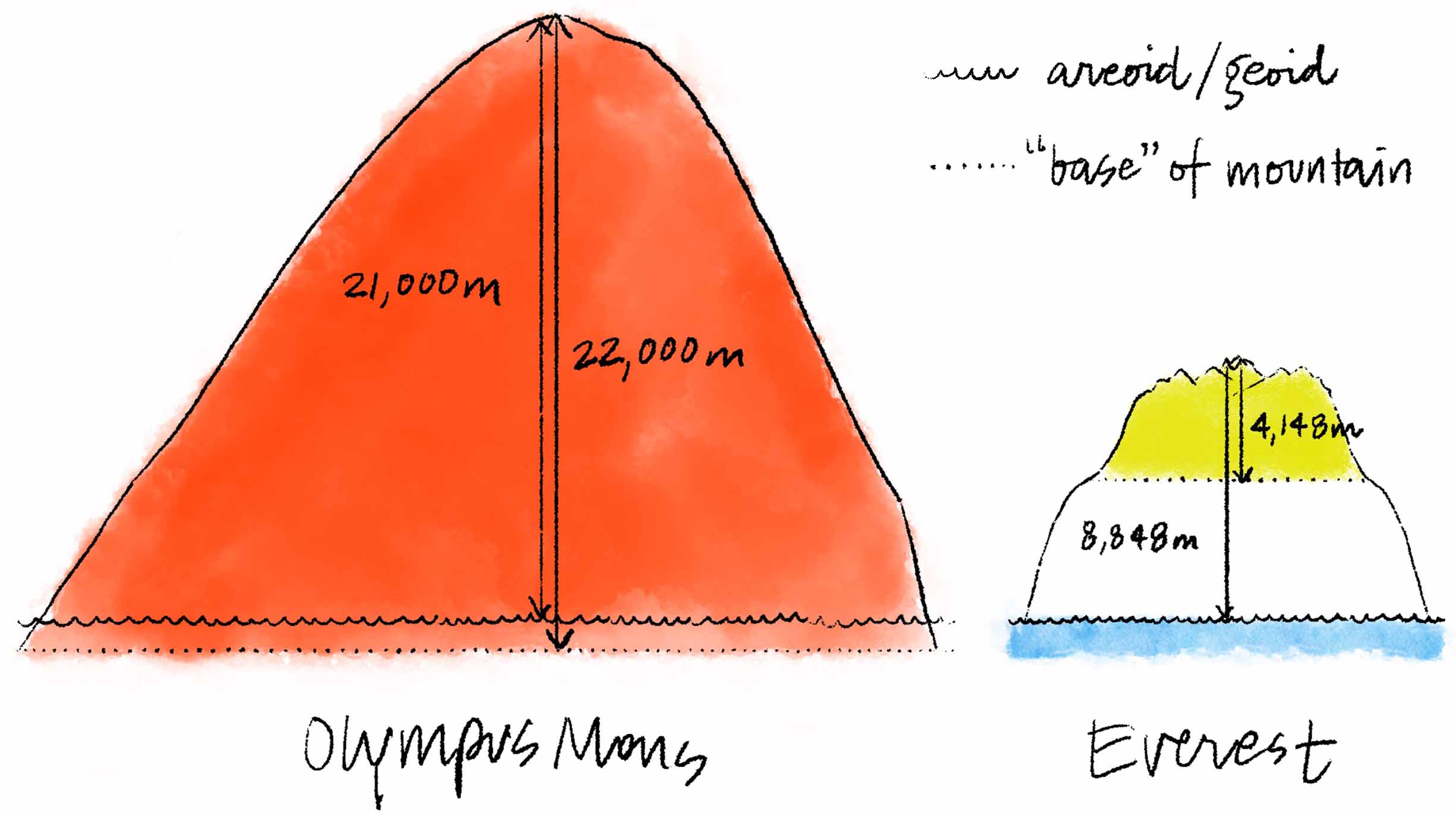 Olympus Mons and Everest side by side, with demarcations of their areoid and geoid respectively, as well as their baselines. Olympus Mons' baseline is below its areoid, while the reverse is shown of Everest.
