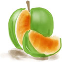 A watercolor take on the classic Freakonomics logo of green apple with orange-the-fruit interior.