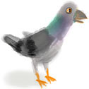 Reggie the giant pigeon, in accordance with my imagination.